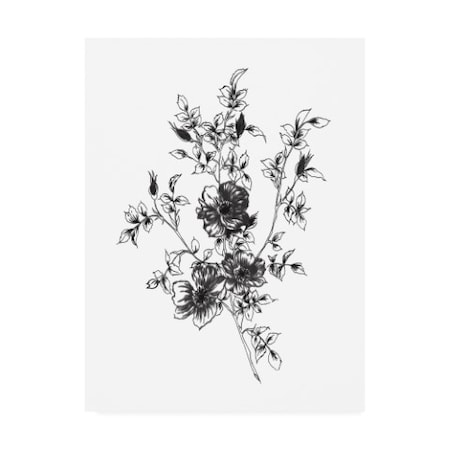 Wild Apple Portfolio 'Sketchbook Flowers On White II' Canvas Art,35x47